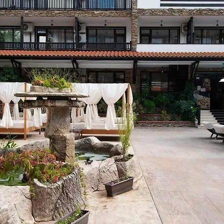 The Paradise 3* 프리모르스코