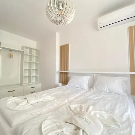 The Paradise 프리모르스코